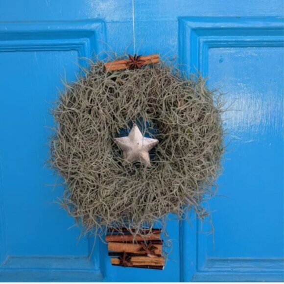 Alabama Spanish Moss ( the same stuff you see in Florida!) - Picture 2 of 7